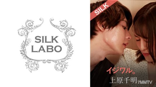 220SILKS-105 欺負人。